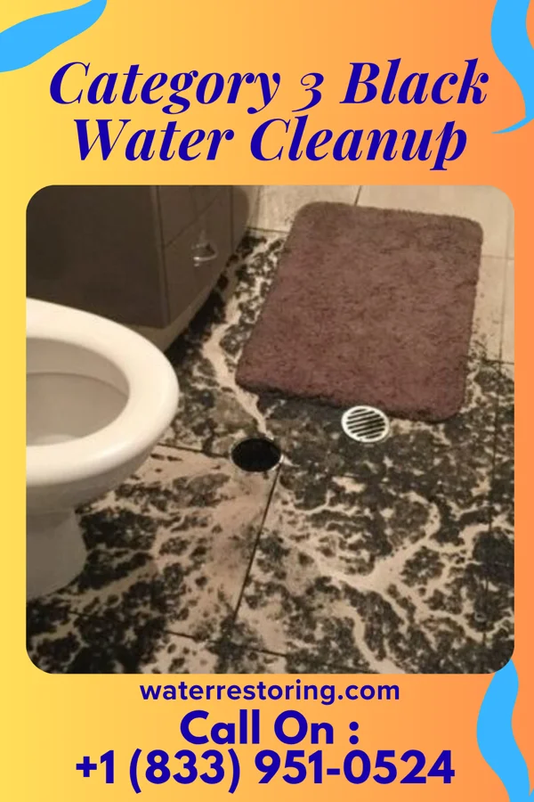 Category 3 Black Water Cleanup in Williamstown, KY
