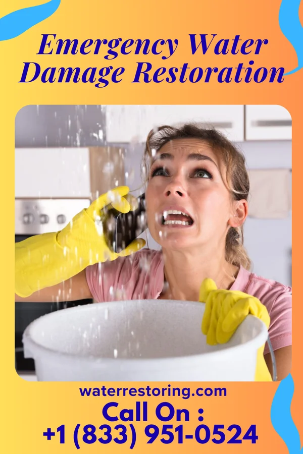 Emergency Water Damage Restoration in Williamstown, KY