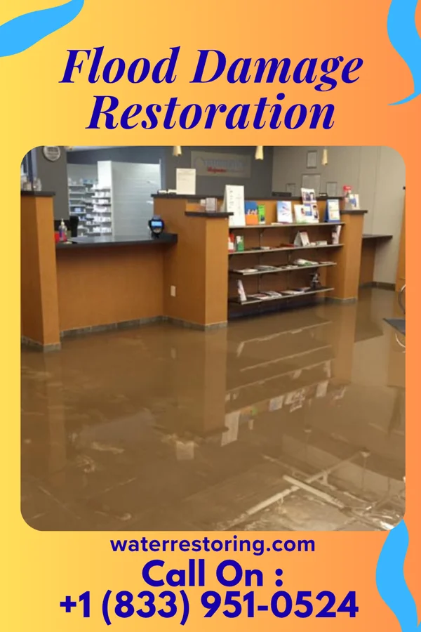 Flood Damage Restoration in Williamstown, KY