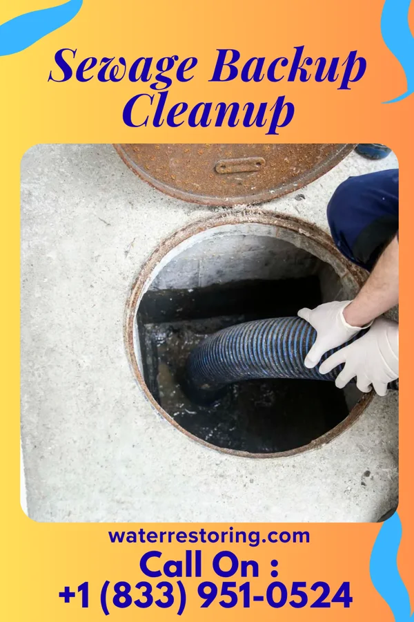 Sewage Backup Cleanup in Williamstown, KY