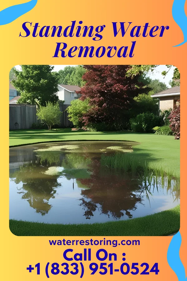 Standing Water Removal in Williamstown, KY